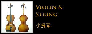 violin-and-string