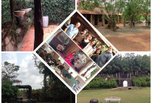 633bec66967511e293e422000a1fbe78_7